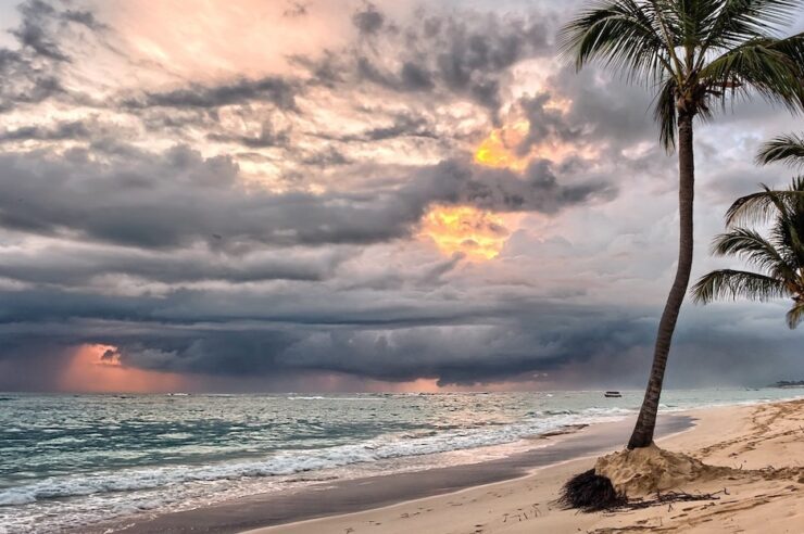 Image for ‘This isn’t just luck’: why fewer people are dying as a result of natural disasters